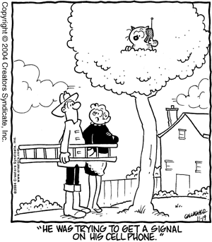 heathcliff